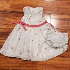Janie and Jack 12-18 month ivory/brown rose embroidered pindot dress w/ bloomers